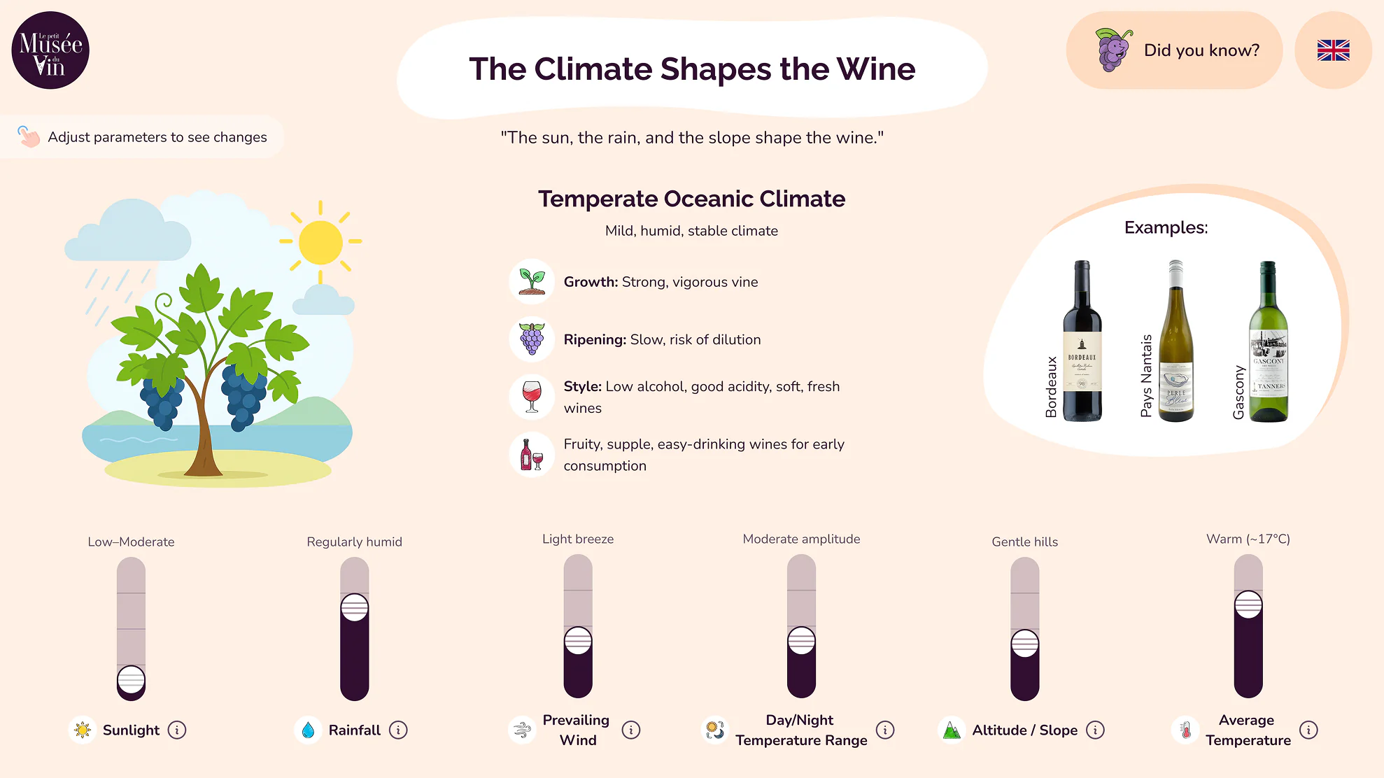 Museum kiosk screen titled The Climate Shapes the Wine, with a vine illustration, climate details and adjustable sliders.