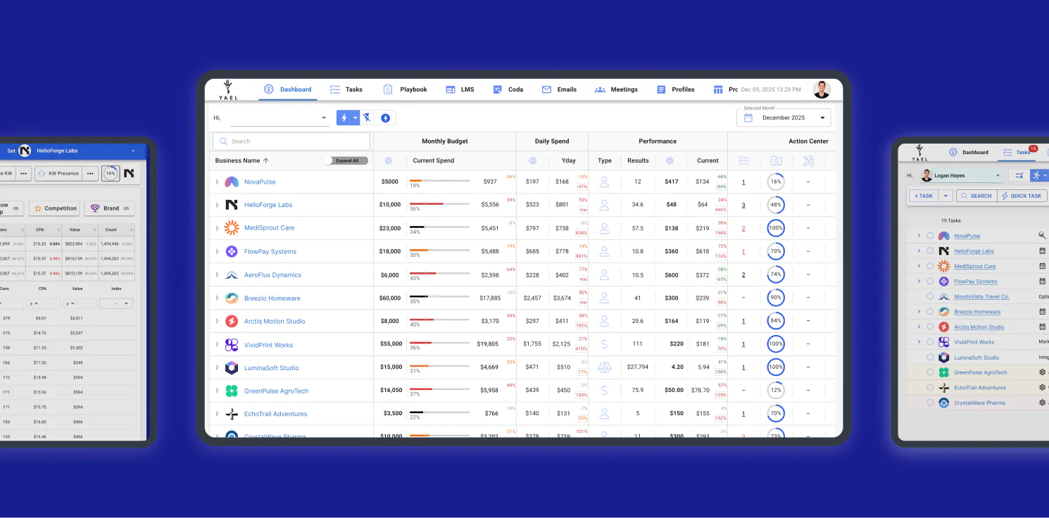 Yael Consulting dashboard listing clients with monthly budget, daily spend and performance columns.